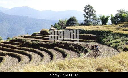 Tour culturale del Bhutan Foto Stock