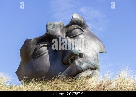 Scultura del viso a Scheveningen Foto Stock