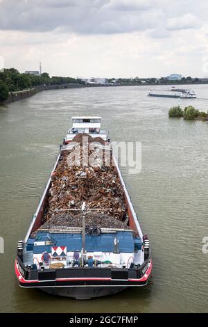 Nave da carico con rottami di metallo che entra nel porto del Reno Niehl, Colonia, Germania. Erbringen von Beruftschiff, Schweizerbildung, Schweizerische, Schweizerische, Schweizerische, Schweizerische, Schweizerische, Schweizeris Foto Stock