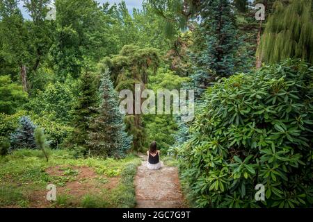 Giovane donna seduta che si affaccia bella foresta verde, parco in estate. Concetto di conservazione dell'ambiente. Giardino botanico di Batumi, Georgia. Foto Stock