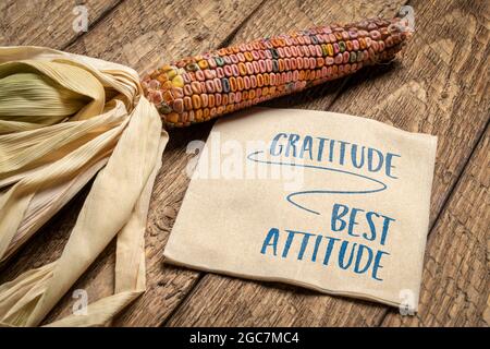 Gratitudine - miglior atteggiamento, calligrafia ispiratrice su un tovagliolo con un corn ornamentale, festa d'autunno e tema del Ringraziamento Foto Stock