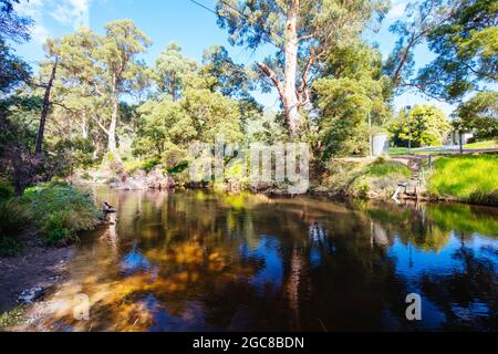 La luce pomeridiana in autunno viene proiettata sul fiume Yarra a Millgrove, Victoria. Australia Foto Stock