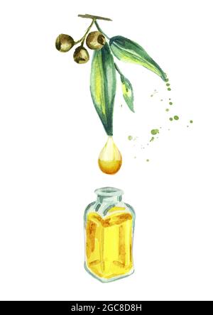 Olio essenziale di eucalipto naturale, isolato su fondo bianco. Illustrazione disegnata a mano con acquerello Foto Stock