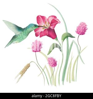 Hummingbird e fiori. Acquerello disegno a mano Foto Stock
