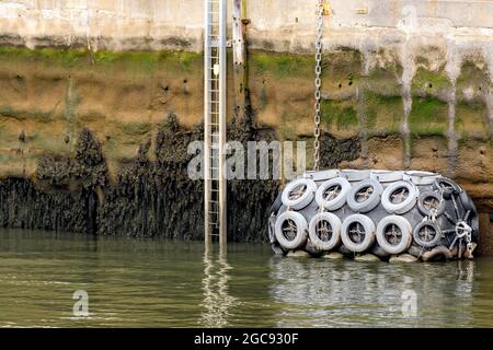 Grande paraurti coperto da pneumatici che galleggia accanto alla scala a bassa marea presso un molo. Il paraurti e gli pneumatici sono sbiaditi. La scala è per le persone che cadono nell'acqua. Foto Stock