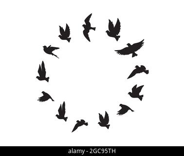 Silhouette di uccelli volanti a forma di cerchio, vettore. Illustrazione degli uccelli volanti. Poster dal design minimalista isolato su sfondo bianco. Decalcomanie a parete, Illustrazione Vettoriale