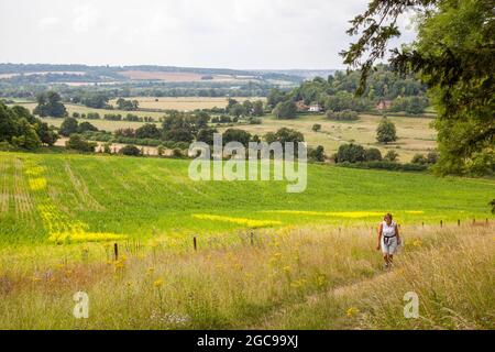 Donna che cammina sulla via Chilterns lungo percorso lungo distanza sul sentiero fuori del villaggio del Buckinghamshire di Hambleden Foto Stock