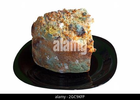 pezzetto di pane ammuffito su piatto scuro, fondo bianco isolato Foto Stock