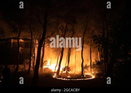 Atene, Grecia. 7 agosto 2021. Un incendio di campo brucia l'area circostante e i cortili di case nel nord di Atene, in Grecia, il 7 agosto 2021. I devastanti incendi boschivi continuano a perdurare migliaia di ettari di terreno forestale in tutta la Grecia. Credit: Lefteris Partsalis/Xinhua/Alamy Live News Foto Stock