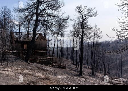 Atene, Grecia. 7 agosto 2021. Una casa è vista distrutta da un incendio nel nord di Atene, Grecia, il 7 agosto 2021. I devastanti incendi boschivi continuano a perdurare migliaia di ettari di terreno forestale in tutta la Grecia. Credit: Marios Lolos/Xinhua/Alamy Live News Foto Stock