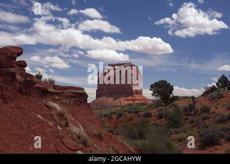 Arenaria rossa Merrick Butte Cliff in Monument Valley Navajo Tribal Park con piante ecosistema in primo piano Foto Stock