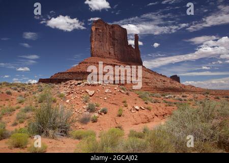 Arenaria rossa West Mitten Butte Cliff in Monument Valley Navajo Tribal Park con piante ecosistema in primo piano Foto Stock