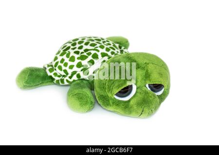 Immagine di una bambola di tartaruga verde isolata su sfondo bianco. Bambole animali. Foto Stock