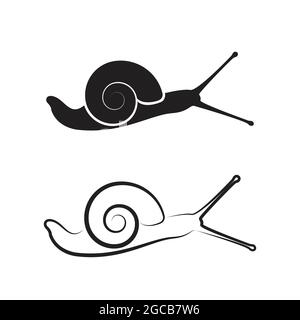 Vettore di una lumaca su sfondo bianco. Animali rettili. Illustrazione vettoriale a livelli facilmente modificabile. Animali selvatici. Illustrazione Vettoriale