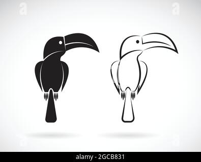 Immagine vettoriale del disegno di uccelli toucan su sfondo bianco. Illustrazione vettoriale a livelli facilmente modificabile. Animali selvatici. Illustrazione Vettoriale