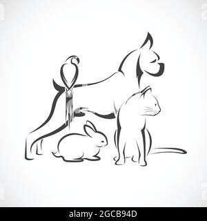 Vettore gruppo di animali domestici - cane, gatto, uccello, coniglio, isolato su sfondo bianco. Illustrazione vettoriale a livelli facilmente modificabile. Animali. Illustrazione Vettoriale