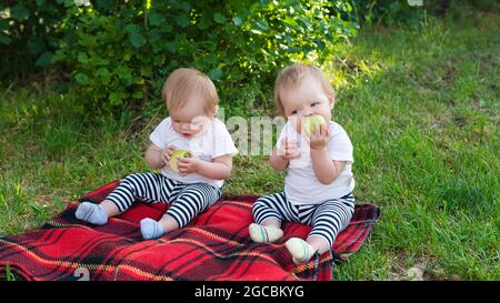 Ritratto di due bambini con mele su coperta nel parco. Foto Stock