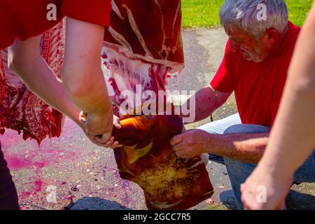Aradac, Vojvodina, Serbia - 21 maggio 2016: Il macellaio sta usando il coltello affilato e tagliando la gamba anteriore, prosciutto crudo di maiale, tagliando la carne su piccoli pezzi, altro Foto Stock