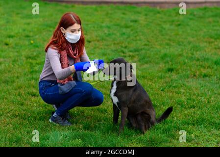 Giovane donna che usa una maschera facciale come un coronavirus che diffonde prevenzione camminare con il suo cane. Immagine concettuale pandemica COVID globale. Foto Stock