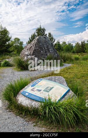 Bruce's Stone and Information Sign a Loch Clatteringshaws, Dumfries e Galloway, Scozia Foto Stock