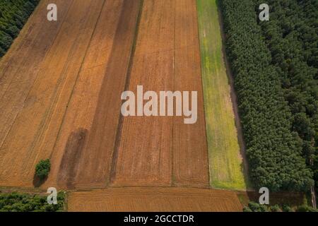 Vista aerea dei campi sulla campagna lucidata Foto Stock