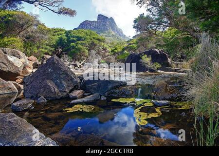 un fiume roccioso con alberi sul lato di una montagna Foto Stock