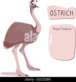 Illustrazione vettoriale di uno struzzo australiano dell'uem. Uccello esotico divertente di colore marrone sulle gambe lunghe. L'iscrizione su piastra di legno e luogo per descrivere la razza. Per libri di riferimento, poster. Isolato Illustrazione Vettoriale