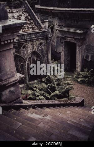 Monumenti del cimitero vittoriano con felci che crescono tra tombe in pietra intemperie Foto Stock