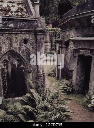 Tombe vittoriane e mausolei con felci che crescono nel cimitero storico Foto Stock
