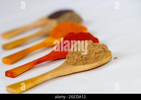 Kerala stile Curry ingredienti in cucchiaio di legno. Polvere di peperoncino, polvere di coriandolo, polvere di curcuma in sfondo bianco. Focus selettivo sul coriander Pow Foto Stock