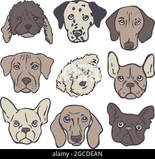 Insieme di illustrazioni vettoriali con facce di cane di razze diverse. Collezione di graziosi ritratti di cani. Illustrazione Vettoriale