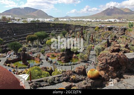 Il Jardin de Cactus (Giardino dei Cactus) a Lanzarote, Isole Canarie, Spagna Foto Stock
