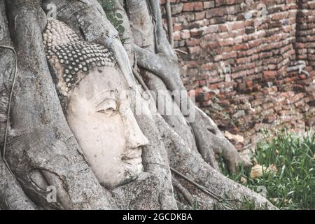 Statua della testa del Buddha intrappolata nelle radici dell'albero di Bodhi Foto Stock