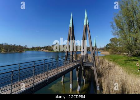 Schillf am See im Britzer Garten a Berlino im Fruehling, Holzbruecke, Holzsteg, Deutschland, Europa Foto Stock