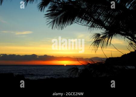 I fronti delle palme sono silhouette dal sole che sorge sul Laupahoehoe Beach Park sulla Big Island delle Hawaii. Il sole è appena sorto sull'orizzonte. Foto Stock