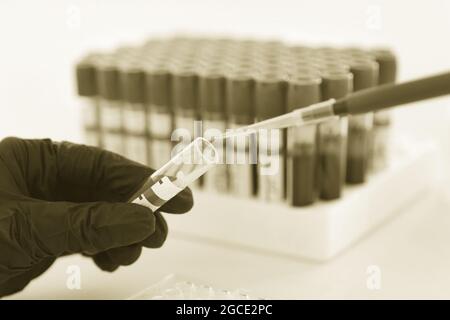 mani di un tecnico di laboratorio con provetta di campione di sangue e rack con altri campioni. tono di seppia Foto Stock