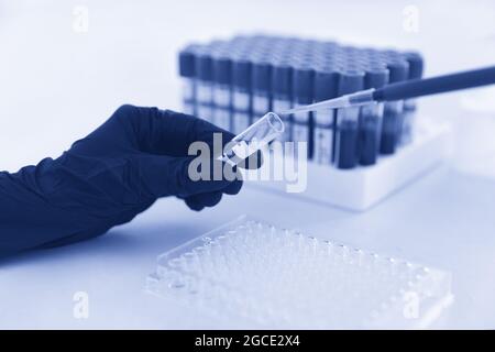 Concetto di analisi del sangue. Mani di un tecnico di laboratorio con provetta di campione di sangue e rack con altri campioni. Conservazione del campione di provetta per lo studio. Tonalità blu Foto Stock