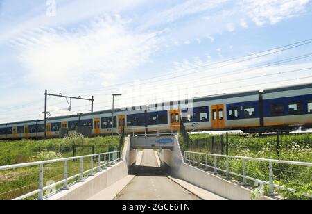 Treno SLT di NS tra Gouda e l'Aia nel Zuidplaspolder nel futuro nuovo villaggio Foto Stock