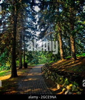 Riley Park Calgary Alberta Foto Stock