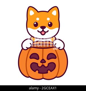 Trucco o trucco. Carino cartone animato Shiba Inu con zucca di Halloween. Disegno del cane Kawaii, illustrazione vettoriale divertente. Illustrazione Vettoriale