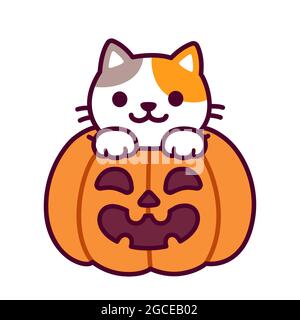 Carino gatto cartoon all'interno della zucca di Halloween con faccia scolpita spooky. Adorabile disegno di gattino, divertente illustrazione vettoriale. Illustrazione Vettoriale