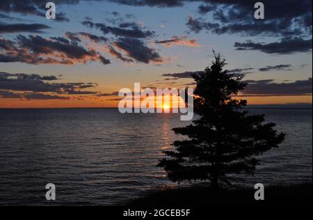 Un albero solitario si erge nella silhouette mentre il sole tramonta sullo stretto del Northumberland sull'Isola del Principe Edoardo. Foto Stock