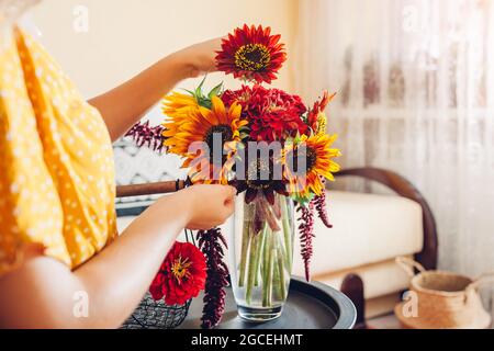 Primo piano della disposizione del bouquet. Donna mette girasoli e zinnie in vaso sul tavolo a casa. Fresco autunno giallo rosso marrone fiori. Interni e decorazioni Foto Stock