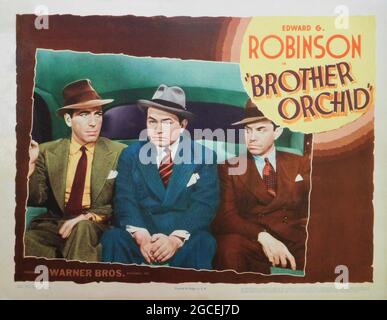 HUMPHREY BOGART EDWARD G. ROBINSON e JOHN RIDGELY in FRATELLO ORCHID 1940 direttore LLOYD BACON Warner Bros Foto Stock