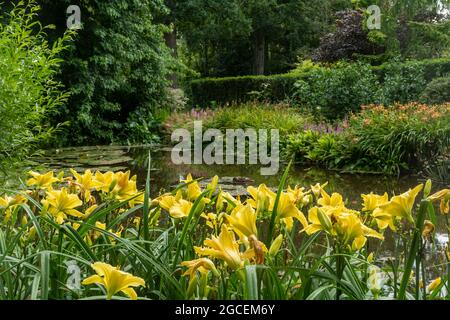 Longstock Water Gardens in Hampshire, Inghilterra, Regno Unito, durante agosto o estate Foto Stock