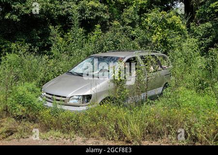 Abbandonata auto distrutta lasciata lungo la strada in pennello e erbacce. Foto Stock