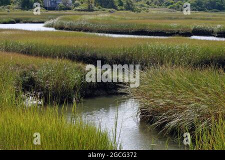 Ampia vista delle erbe di paludi saline dal lungomare di Bass Hole a Gray's Beach, Yarmouth Port, Massachusetts, su Cape Cod Foto Stock