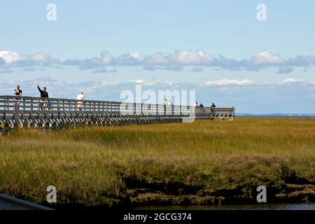 Persone che camminano lungo il lungomare di Bass Hole a Gray's Beach, Yarmouth Port, Massachusetts, a Cape Cod Foto Stock