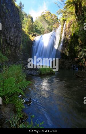 guida cade cascata in una foresta in tasmania Foto Stock