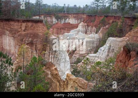 Le pratiche agricole povere nel 1800 hanno causato l'erosione a Providence Canyon, Georgia (stato degli Stati Uniti). Foto Stock